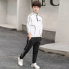 Streetwear for Teen Boys Stylish Autumn Sets