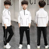 Streetwear for Teen Boys Stylish Autumn Sets