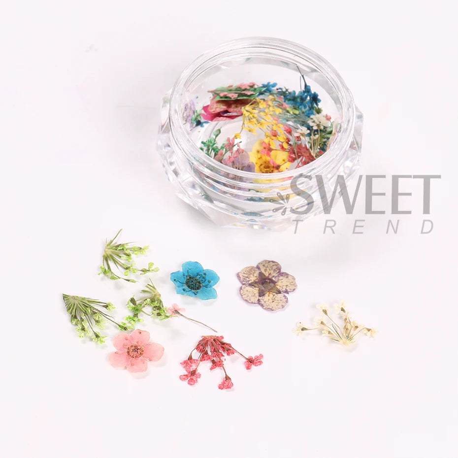 Delicate 3D Dried Flower Nail Art Exquisite Beauty Charms