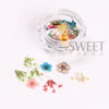 Delicate 3D Dried Flower Nail Art Exquisite Beauty Charms
