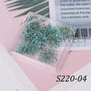 Delicate 3D Dried Flower Nail Art Exquisite Beauty Charms