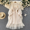Lace Flower Mesh Dress
