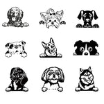 Cars Accessorie Decals Funny Dog With Name Car Decal Dogs Pet Animals Laptop Vinyl Sticker