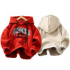 Boys' Cozy Sweatshirt for Autumn and Winter