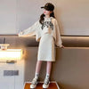 Spring & Autumn Outfits for Girls Hoodies + Skirts