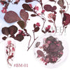 Delicate 3D Dried Flower Nail Art Exquisite Beauty Charms