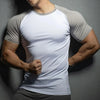 2024 Sport Gym T Shirt Workout Casual Tops Clothing
