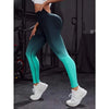 Seamless Gradient Yoga Leggings Women Fitness Leggings Gym High