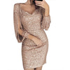 2024 Sequin Skinny Dress Women Sexy Tassel Sleeves V Neck Club Mini Dress Elegant