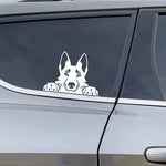 Cars Accessorie Decals Funny Dog With Name Car Decal Dogs Pet Animals Laptop Vinyl Sticker