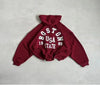 Large Size Zipper Hoodie High Street y2k
