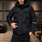 Winter Korean Style Cotton-padded Jacket Youth Warm (e)