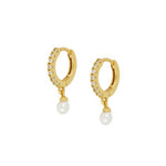 Trendy Gold Hoops Earrings 925 Sterling Silver Jewelry
